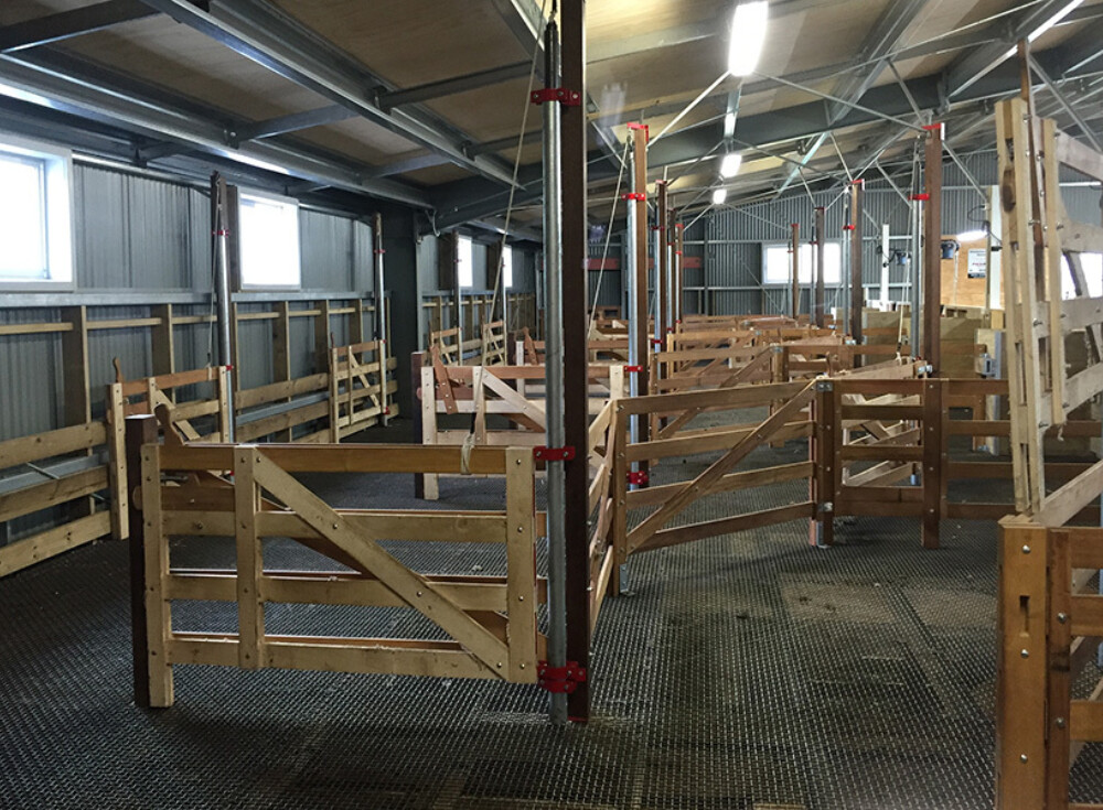 Middlehurst wool shed 100