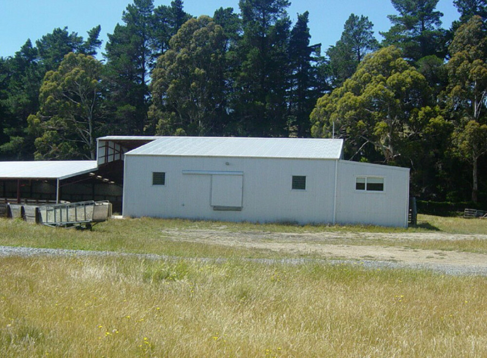 The gums wool shed 05