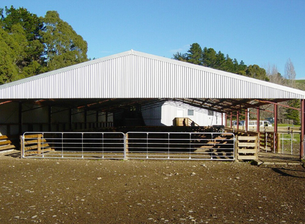 The gums wool shed 08