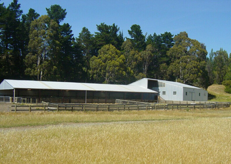 The gums wool shed 04