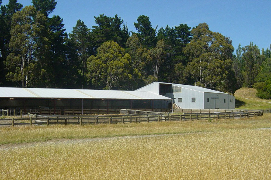 The gums wool shed 03