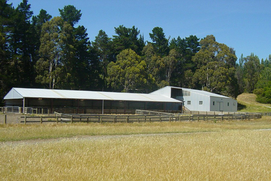 The gums wool shed 04
